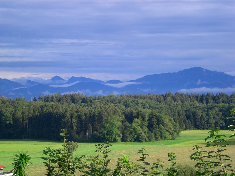 Bild 017.jpg