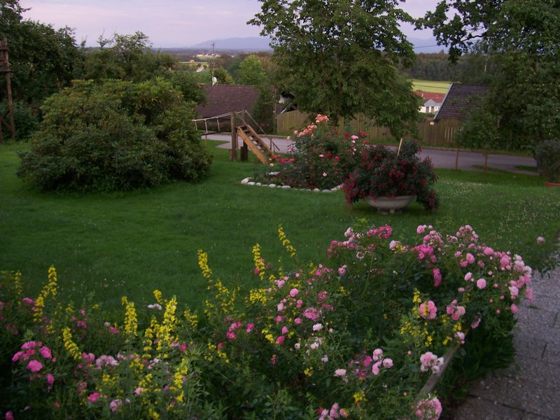 Bild_08.jpg