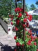 Bild_07.jpg