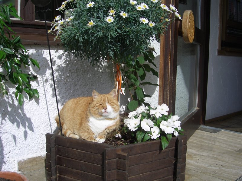 Bild_01.jpg